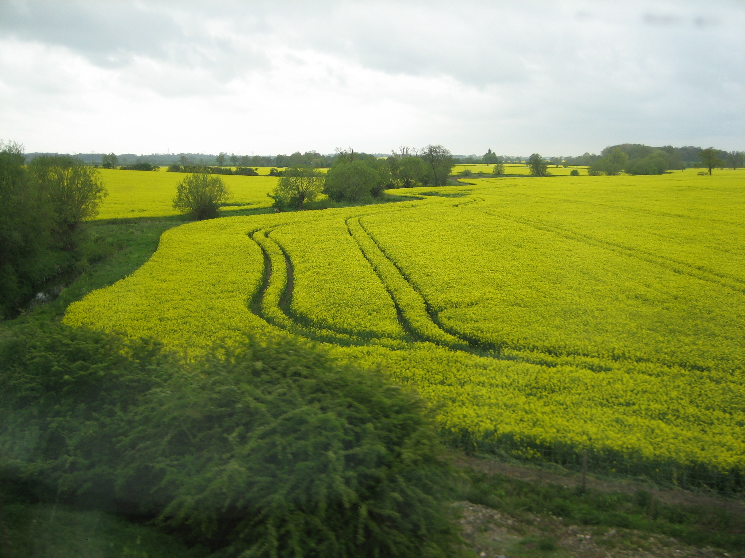 countryside_by_train
